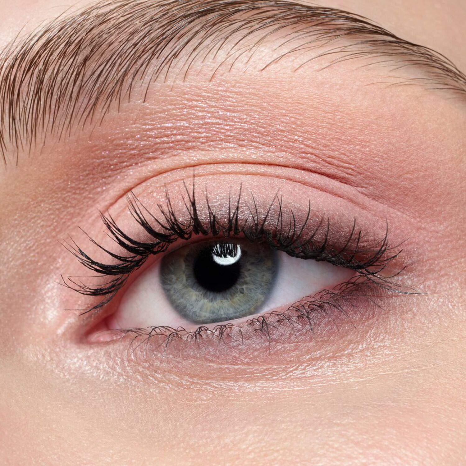 The Cool Rose - Palette Pigmentation Intense 9g