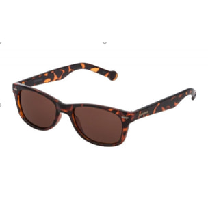 Gafas de sol Converse Hombre SCO09152TORT