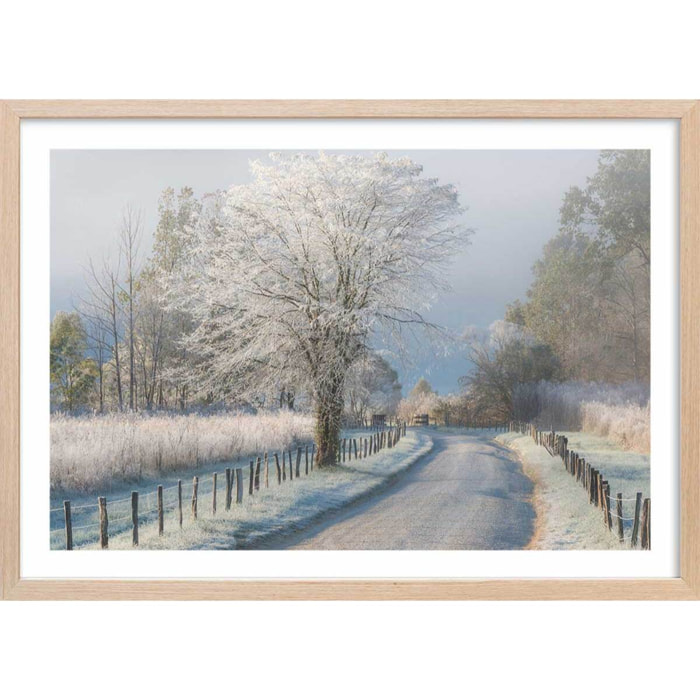 Affiche paysage Un matin glacial Affiche sous cadre bois