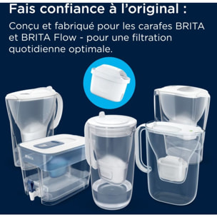 Cartouche filtrante BRITA 2 cartouches Maxtra Pro Pure performance