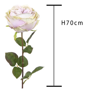 Rosa Cabbage. Altezza 49 Cm - Pezzi 6 - 13X49X13cm - Colore: Viola - Bianchi Dino - Fiori Artificiali