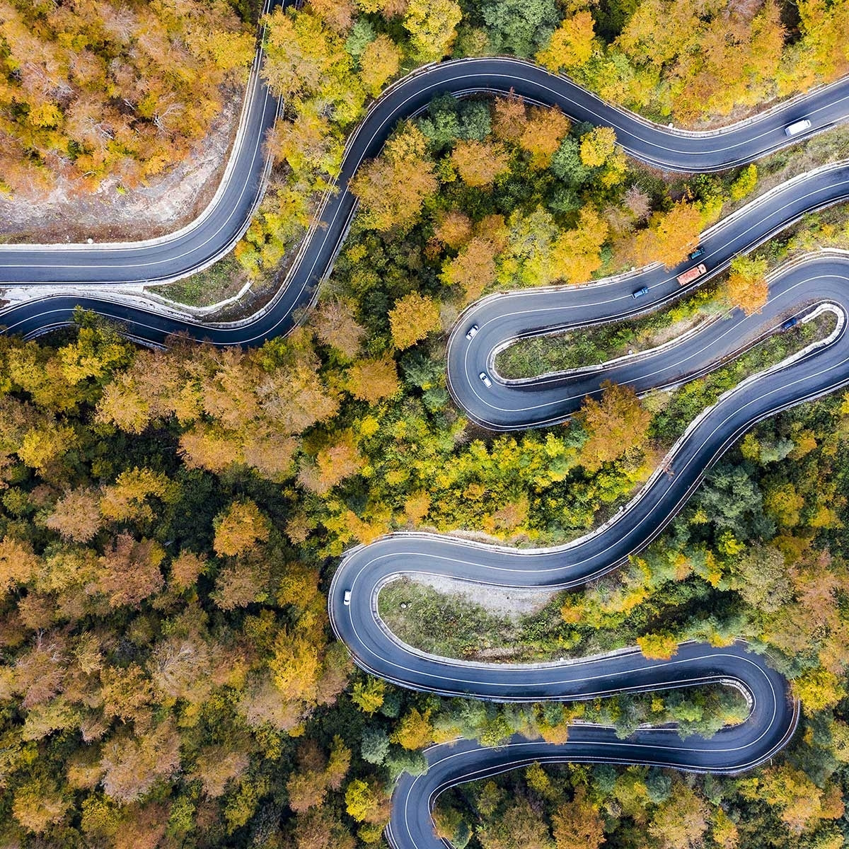 Affiche Route d' automne Affiche sous cadre noir