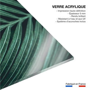 Tableau feuillepalmen Tableau plexiglas
