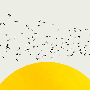 Affiche dessin ""1000 oiseaux"" Affiche sous cadre noir