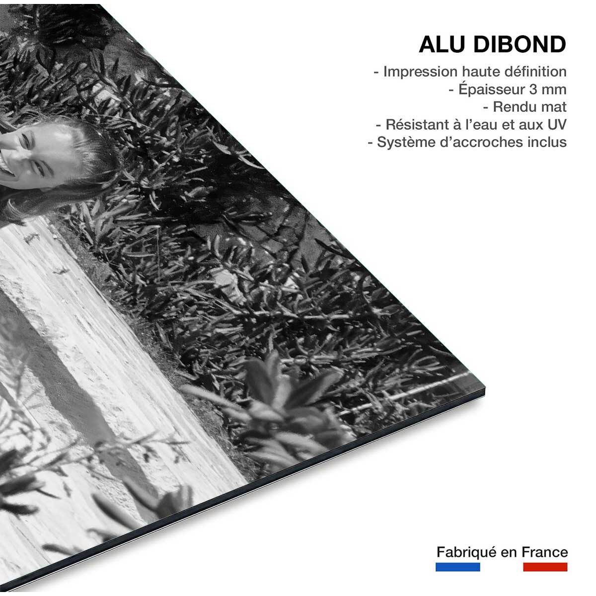 Tableau romy schneider et alain delon en 1968  Tableau alu Dibond