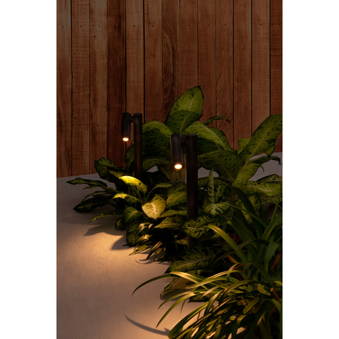 SPY 435 Estaca gris oscuro