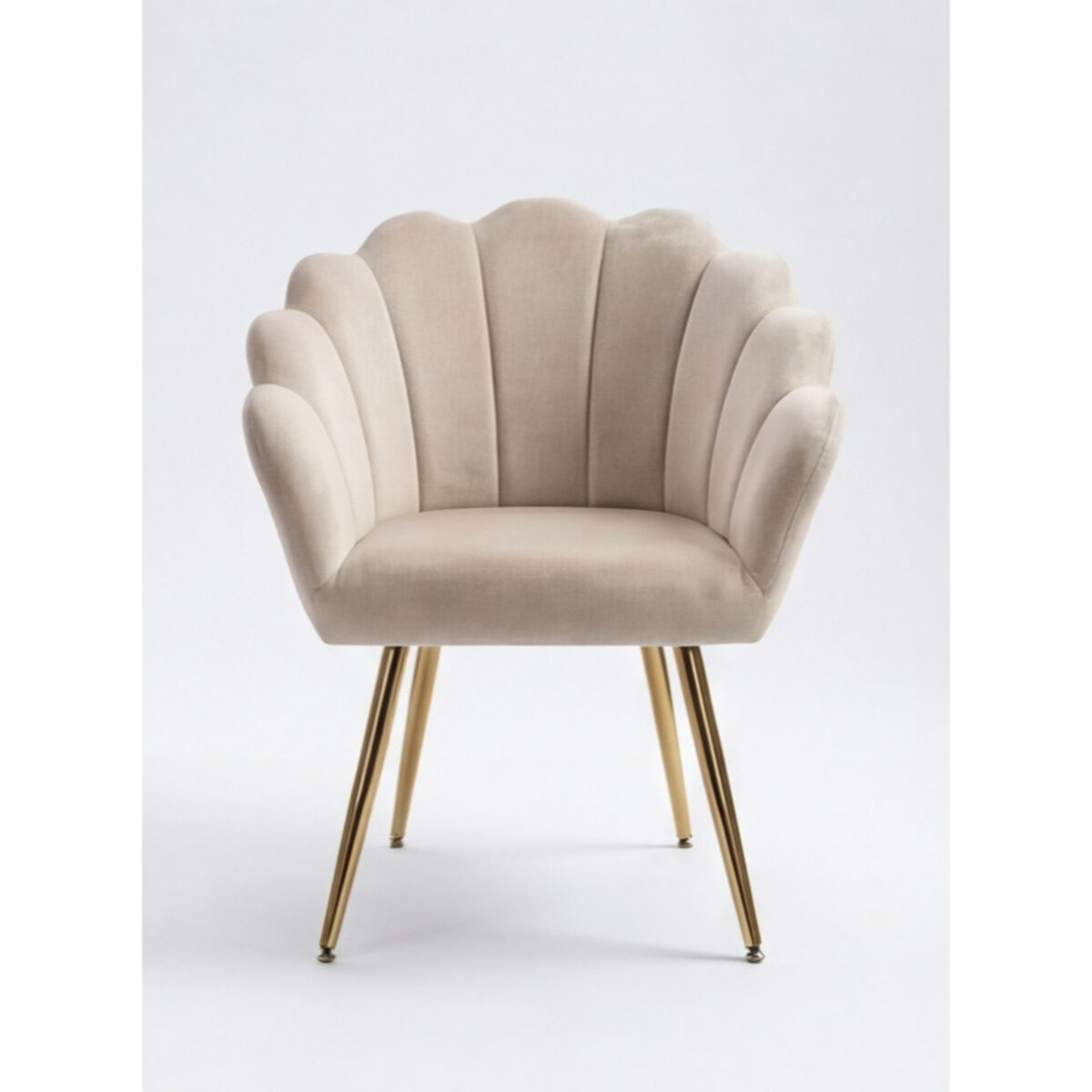 Poltrona in velluto design a conchiglia elegante e moderna, seduta imbottita confortevole con base in legno e gambe in metallo dorato, poltroncina versatile per soggiorno, camera o ufficio, stabile e resistente fino a 100 kg, stile raffinato e decorativo