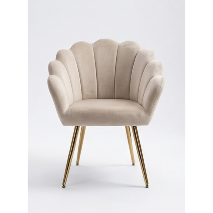 Poltrona in velluto design a conchiglia elegante e moderna, seduta imbottita confortevole con base in legno e gambe in metallo dorato, poltroncina versatile per soggiorno, camera o ufficio, stabile e resistente fino a 100 kg, stile raffinato e decorativo