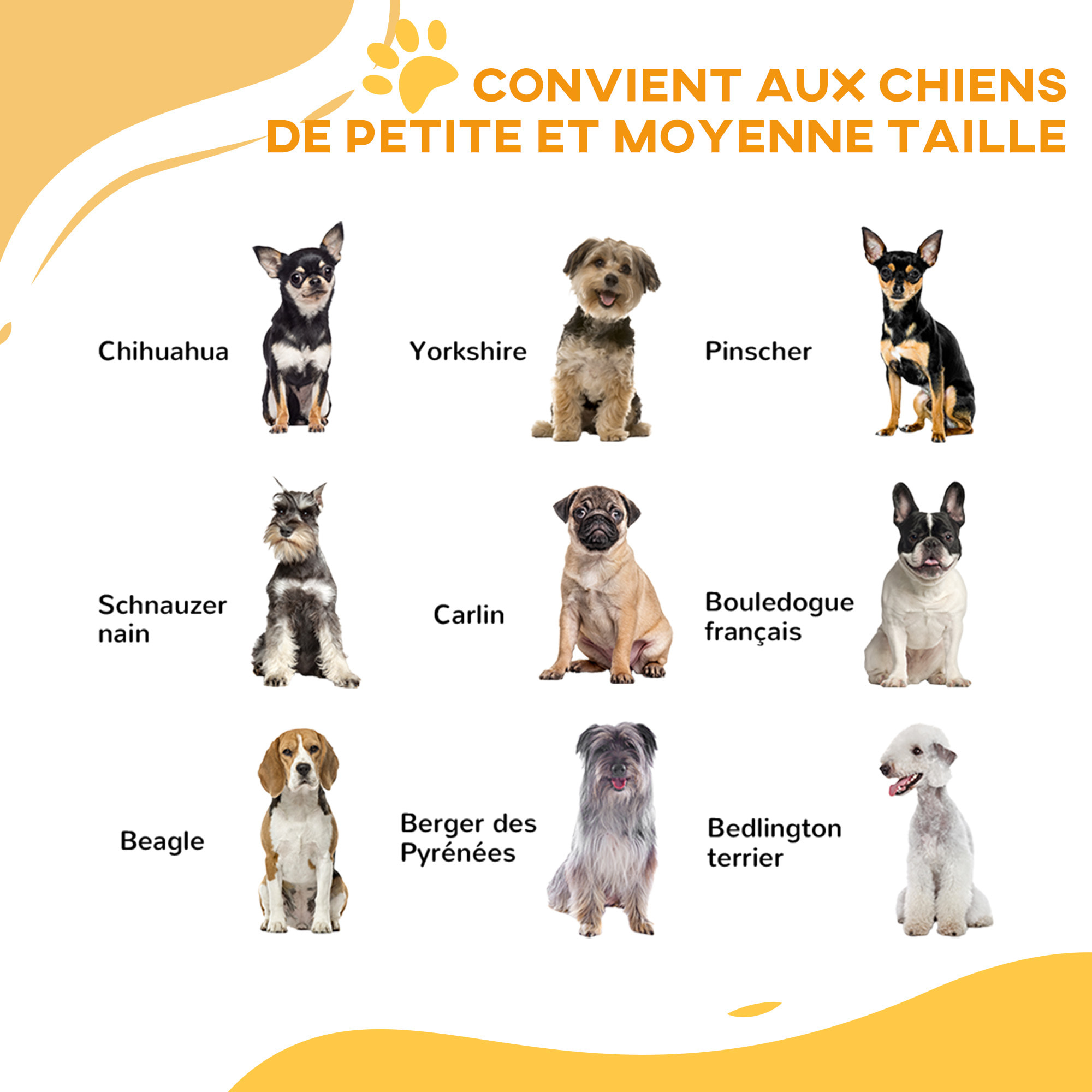 Barrière de sécurité pour chien - barrière à pression ajustable - double système de verrouillage - acier noir