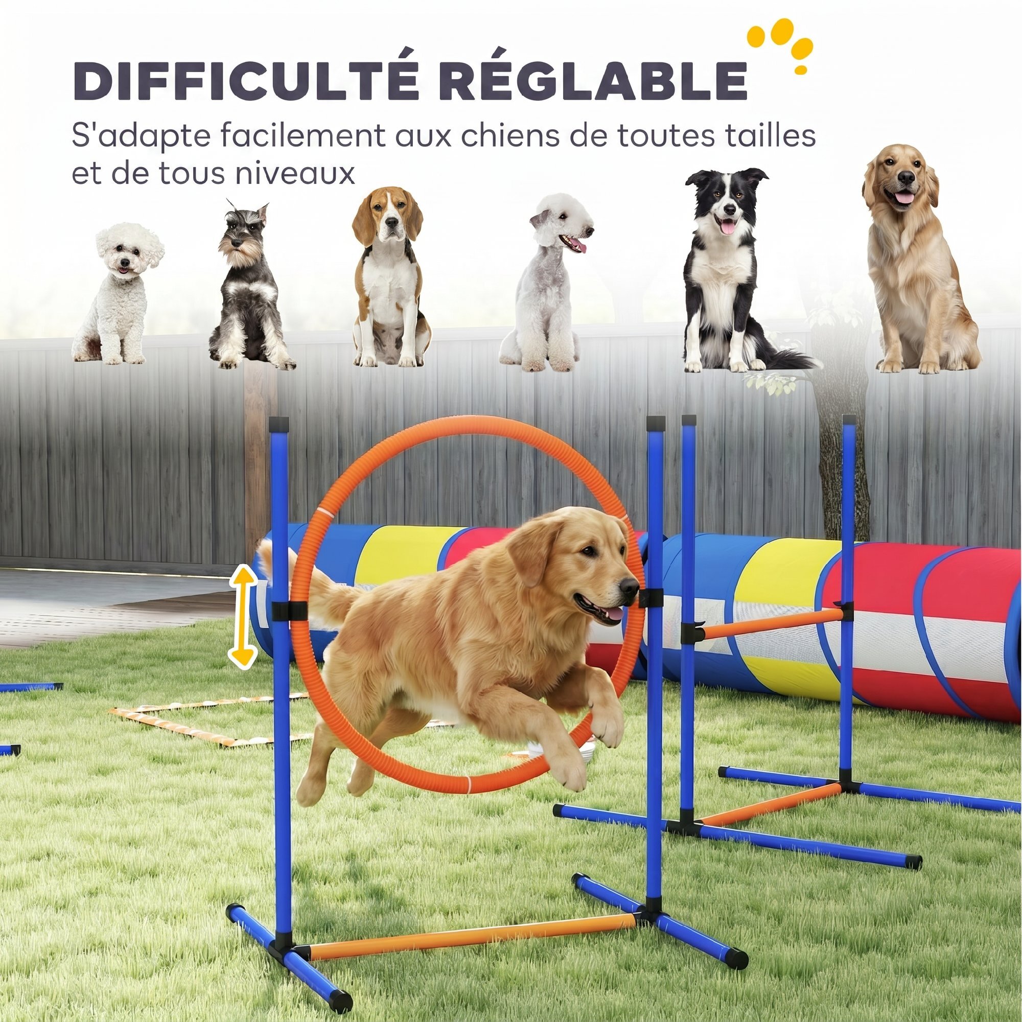 Kit agilité chien 12 pièces 4 tunnels sauts ajustables anneau slaloms frisbee balle et autres