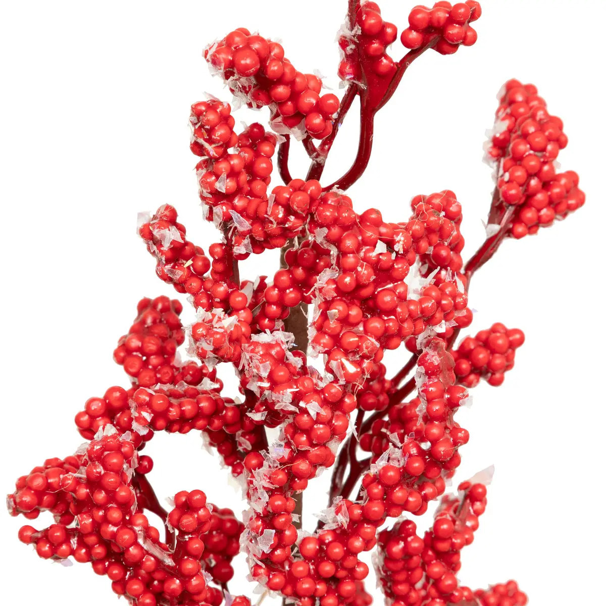 COMPO BAIES RGE BASE JUTE H38