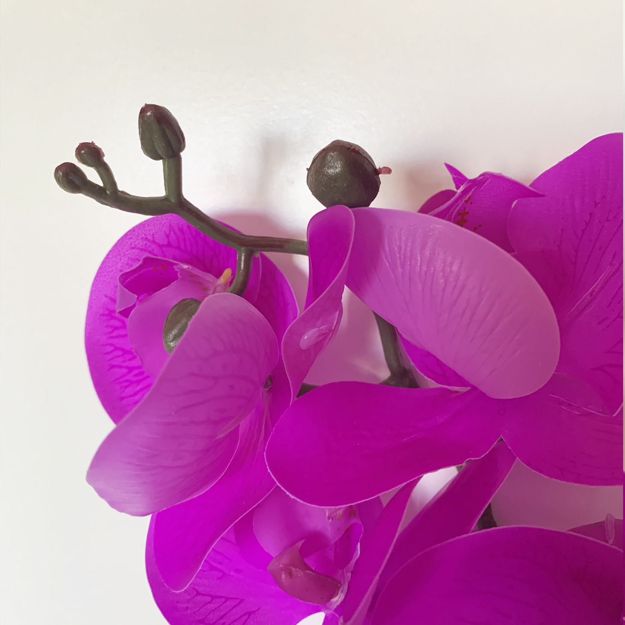 Ramo de orquidea tacto natural de 100 cm fucsia