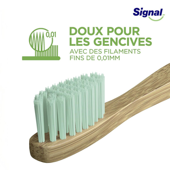 6 Brosses à Dents Signal Bambou Naturel Medium (Lot de 6 )