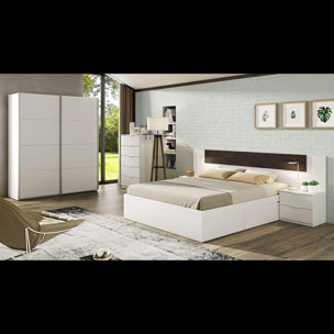 Armadio Armadietto Guardaroba Resistente Robusto Multiuso con 2 Ante Scorrevoli 2 Ripiani E 2 Appendiabiti Camera Da Letto 200x150x60 Cm Bianco Artik