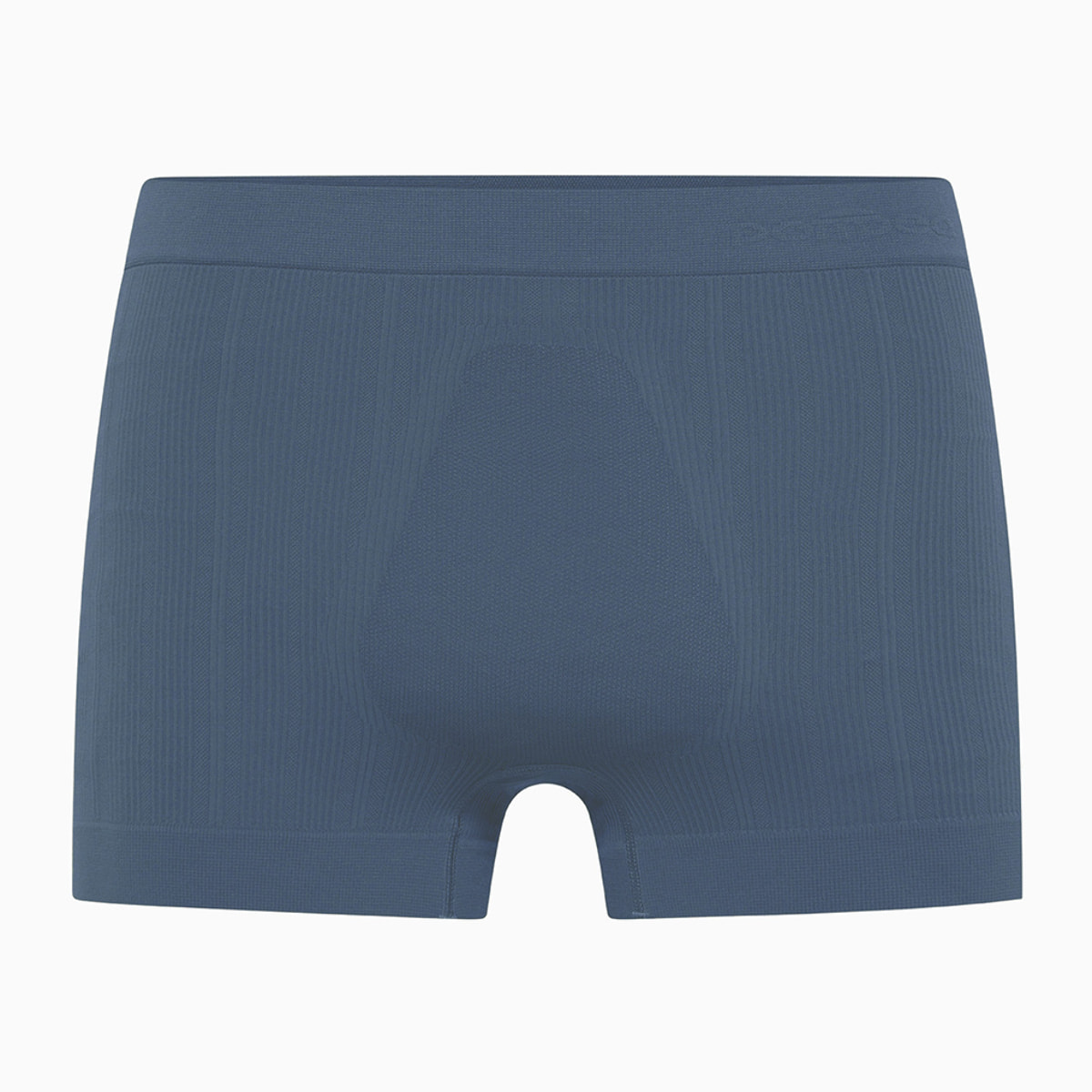Boxer coste new moving seamless
