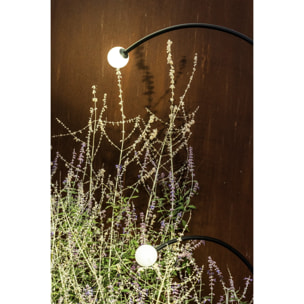 CUCA 1193 Estaca negra