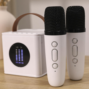 Kit Karaoke Bluetooth con altoparlante e 2 microfoni. 10 W, batteria integrata.