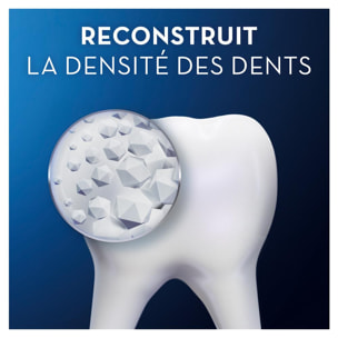 4 Dentifrices Densite Email Protection Quotidienne 75ml, Oral B Pro Science