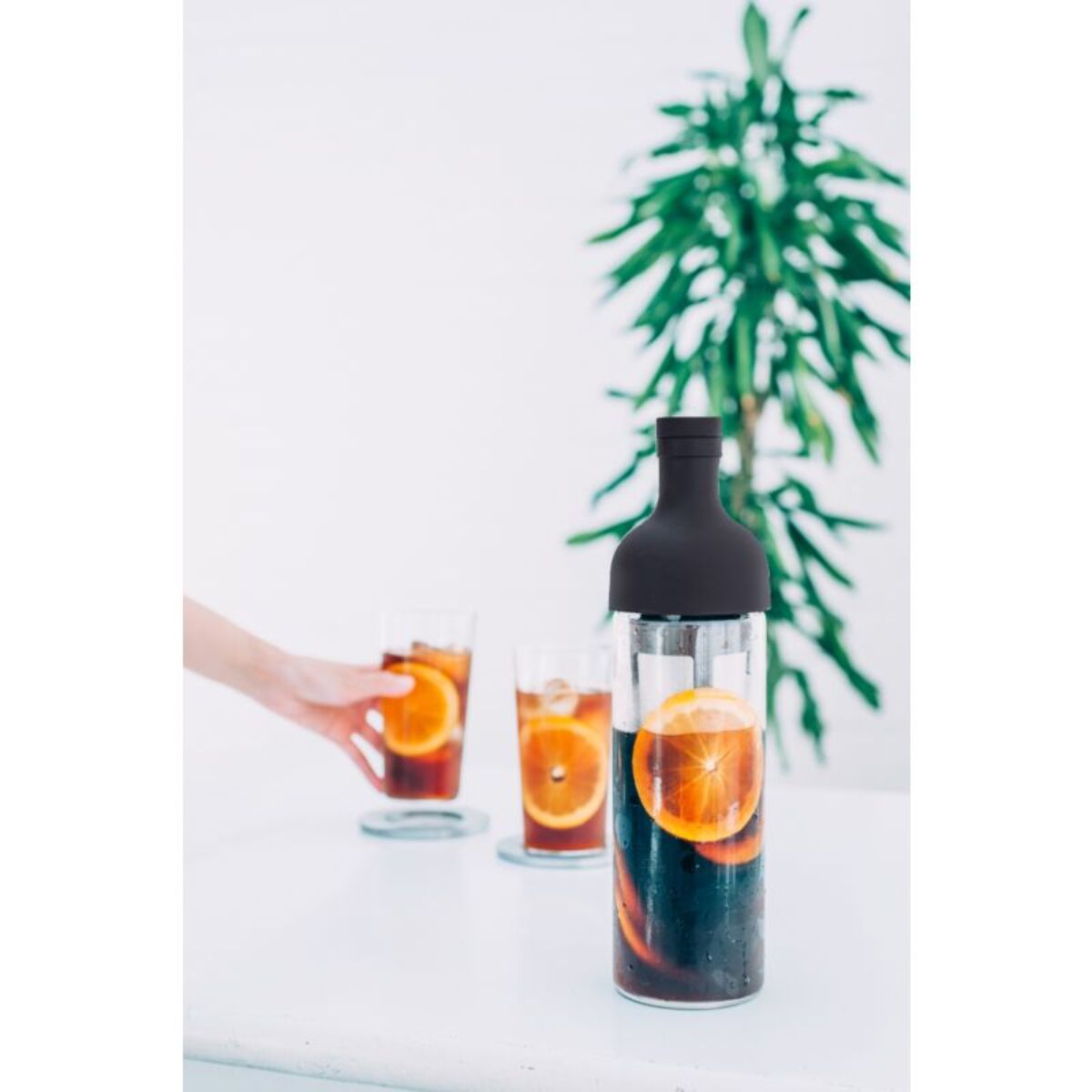 Filtre à café HARIO pour infusion Cold Brew - Café froid