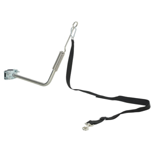 Laisse de vélo pour chien fixation facile rapide ressort amortisseur sangle ajustable
