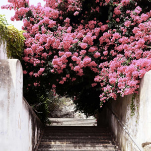 Affiche welcometoportugal secret street Affiche + cadre en bois - Chêne