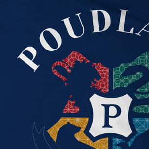 Parure de lit imprimée + drap housse 100% coton, HARRY POTTER BLASON