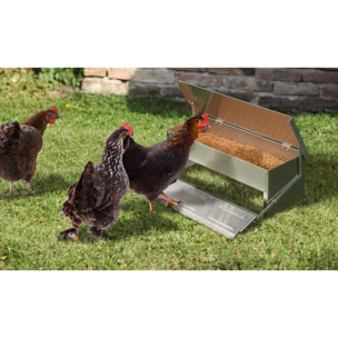 Mangeoire automatique pour poules