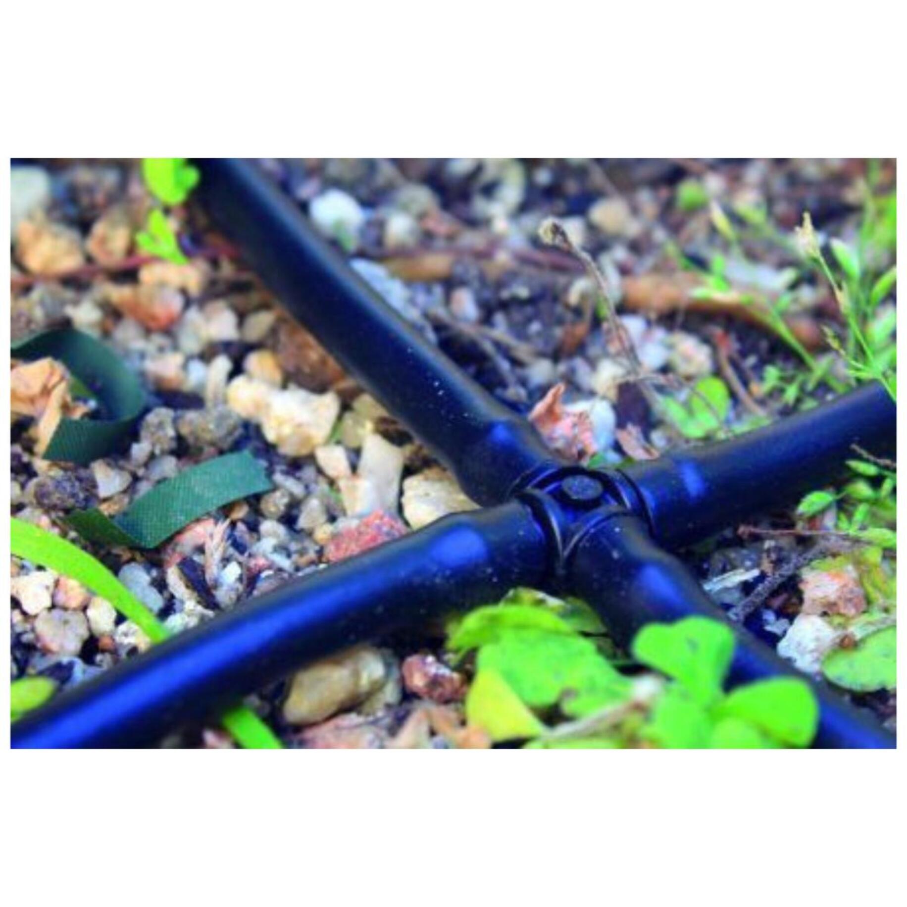PLANETA HUERTO | Cruz para Microtubo 4 mm – Pack 10 Uds, Conector de Riego para Distribución Eficiente del Agua