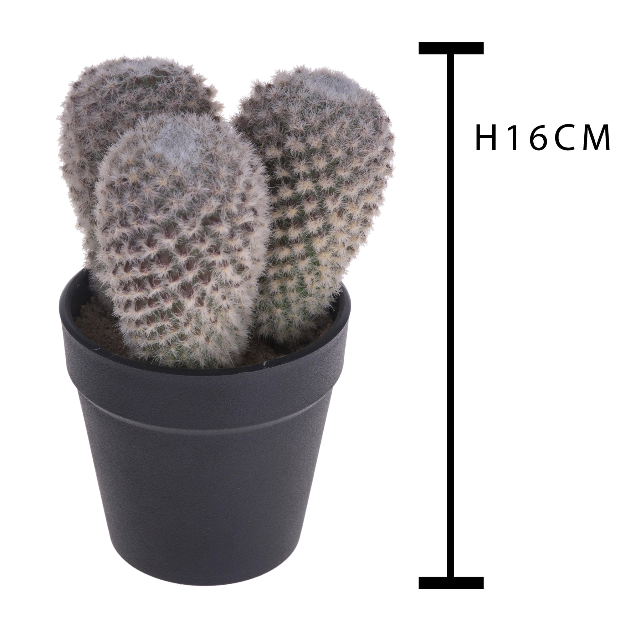 Cactus X 3 Con Vaso. Altezza 16 Cm - Pezzi 6 - 9,5X16X9,5cm - Colore: Altro - Bianchi Dino - Piante Artificiali