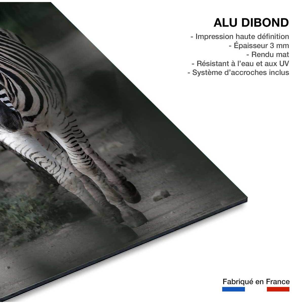 Tableau animaux zèbre en balade Tableau alu Dibond