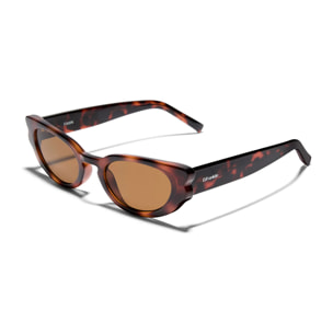 Gafas De Sol D. Franklin Fawn