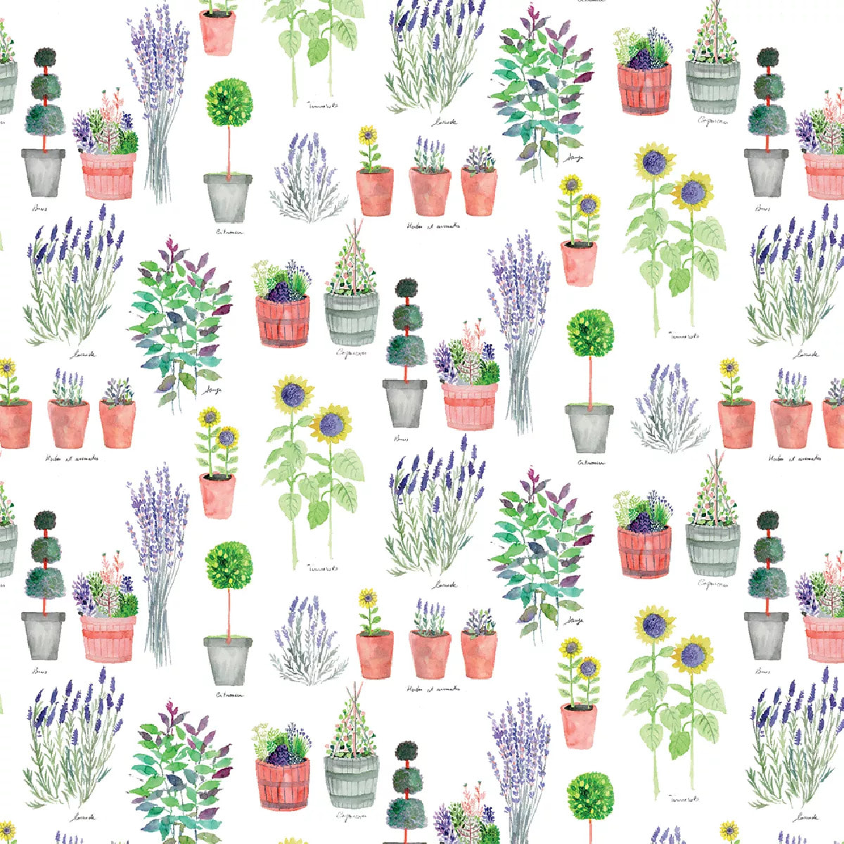 Nappe Mille pepinieres floraison lavé