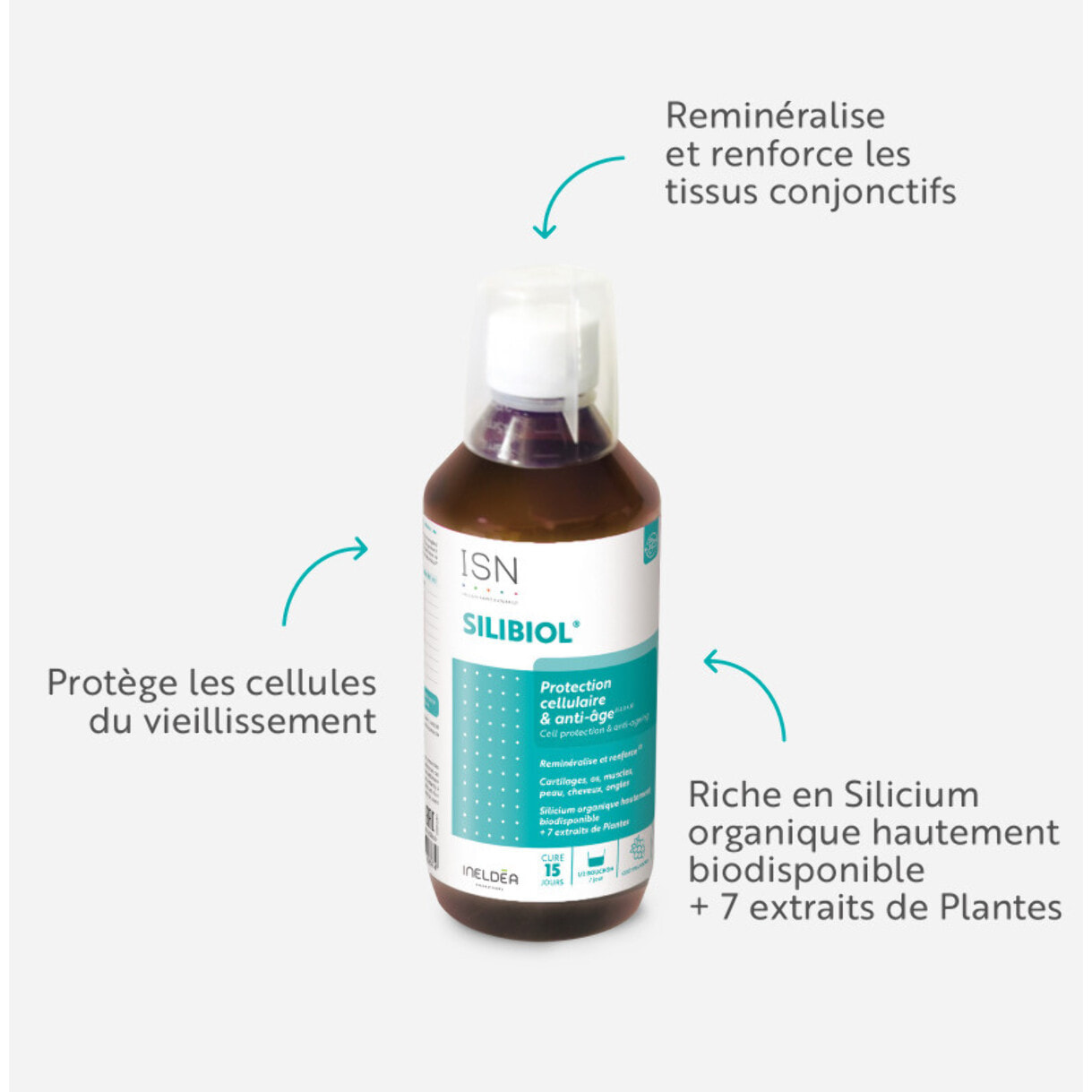ISN - Silibiol Buvable - Complément alimentaire à base de Silicium organique et plantes - Protection cellulaire & anti-âge - Flacon 500 ml - Goût Framboise - Cure 15j