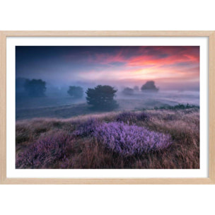 Poster couleur chaude et lavandin Affiche + cadre en bois - Chêne