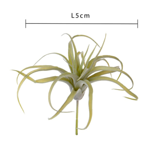 Tillandsia 16 Cm - Pezzi 6 - 5X16X5cm - Colore: Multicolore - Bianchi Dino - Piante Artificiali