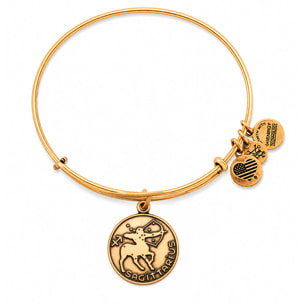 Pulsera Alex And Ani Mujer A13EB01SARG