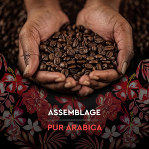 Café Grains Honduras Bio 500G