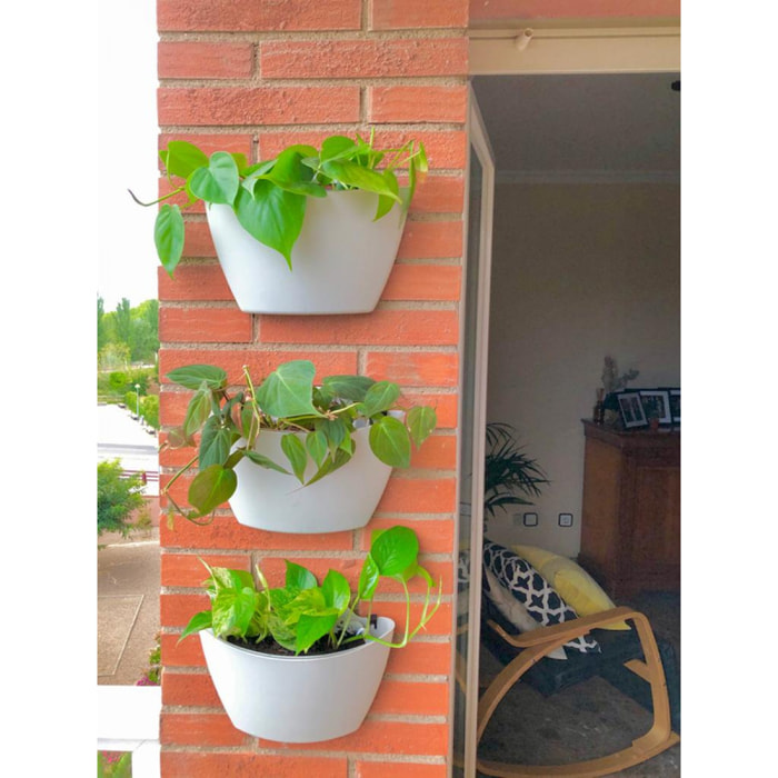 Macetas de pared autorriego blancas con 6 plantas colgantes