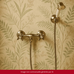 Mélangeur douche + flexible + douchette + support PAINI Tiffany Gris Acier