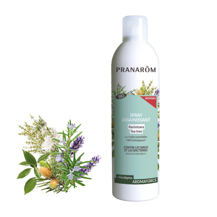 Pranarom - Spray assainissant Ravintsara - Tea tree - Bio - 400 ml