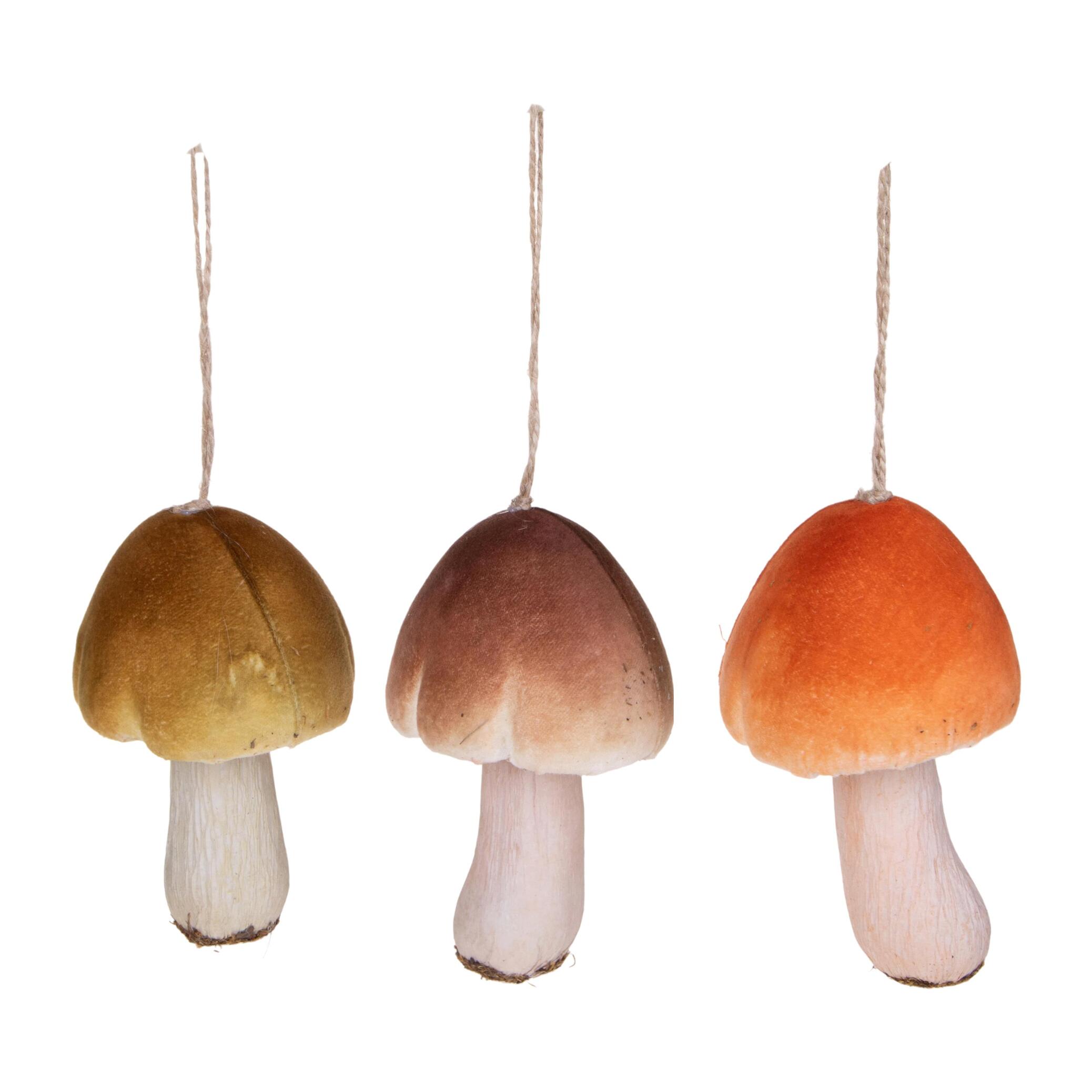 Funghi - Pezzi 1 - 9xH15x8,5cm - Bianchi Dino SpA