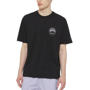 CAMISETA DICKIES  SS STANARDSVILLE TEE