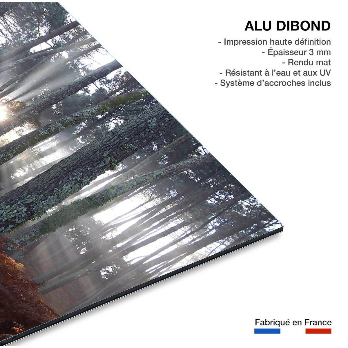 Tableau brume landaise Tableau alu Dibond