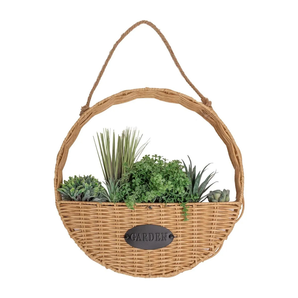 Planta colgante siena 40cm