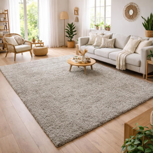 Tapis poils longs shaggy tissé motif uni ZASIVE