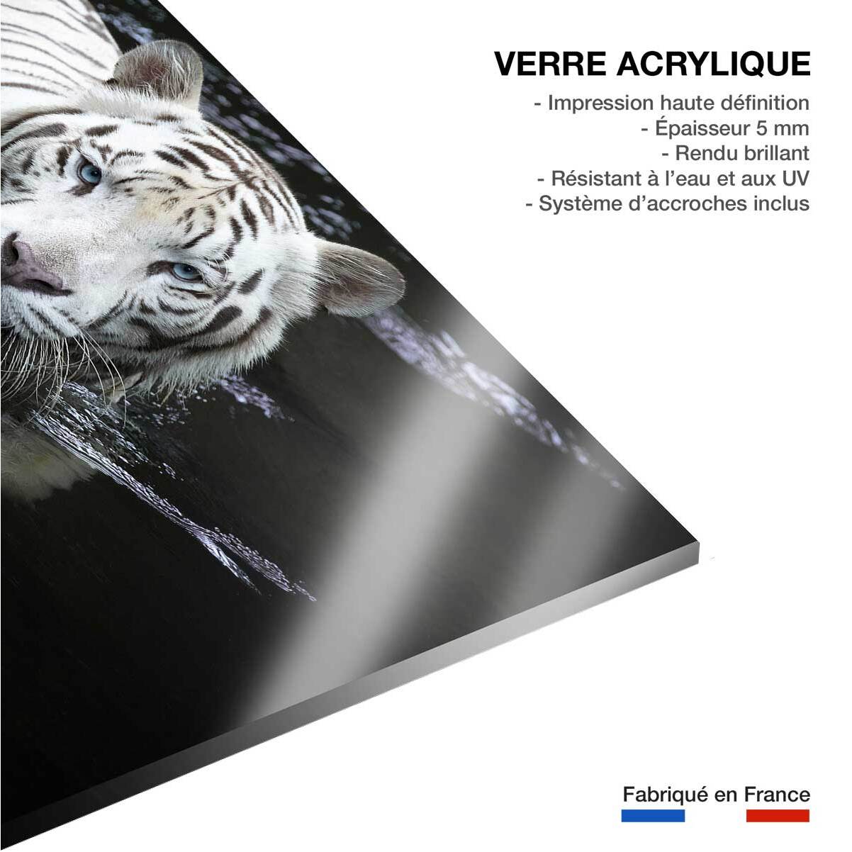Tableau tigre Regarde moi Tableau plexiglas