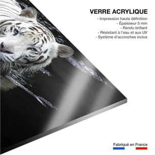 Tableau tigre Regarde moi Tableau plexiglas