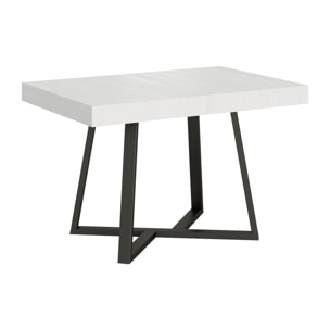 Table extensible 80x120/204 cm Zeplir frêne blanc pieds anthracite