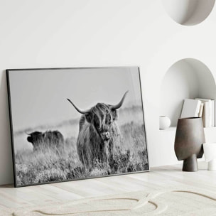 Affiche encadrée Highland écossais en noir et blanc Affiche + cadre en métal - Noir