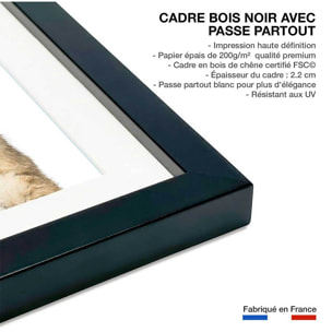 Affiche enfant bébé lionceau  Affiche sous cadre noir